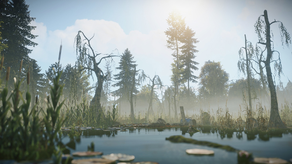 requisitos rust captura