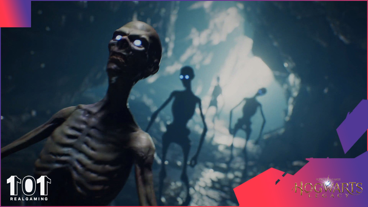 hogwarts legacy trans