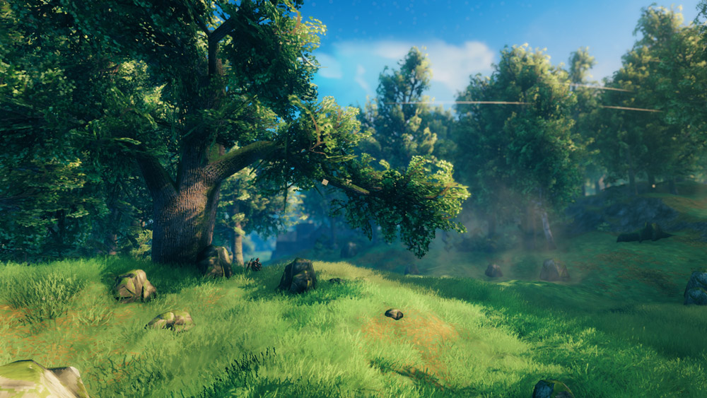 valheim paisaje verde arboles