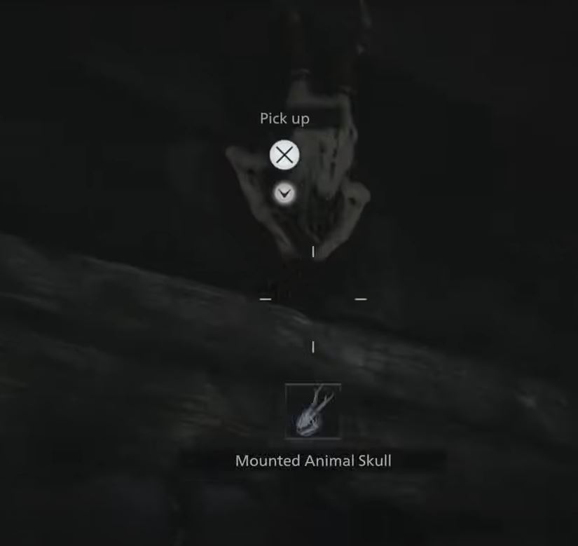 craneo animal resident evil