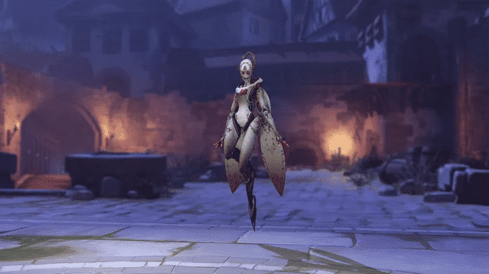 echo hero skin