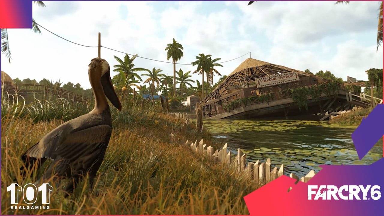 Cómo alimentar y dónde encontrar pelicanos en Far Cry 6