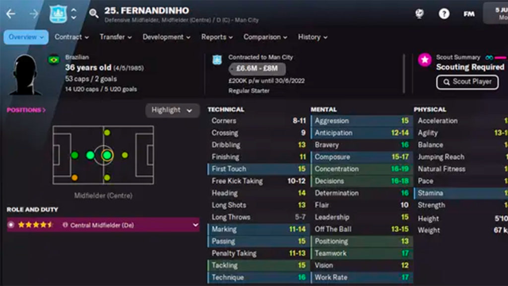 Fernandinho FM22
