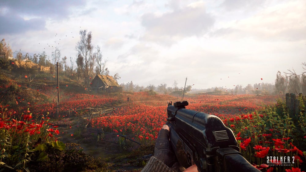 stalker 2 imagen campo de rosas o flores rojas