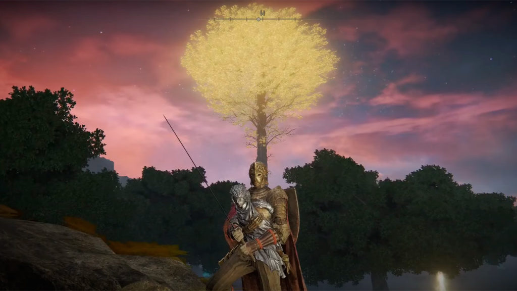 arbol entrada