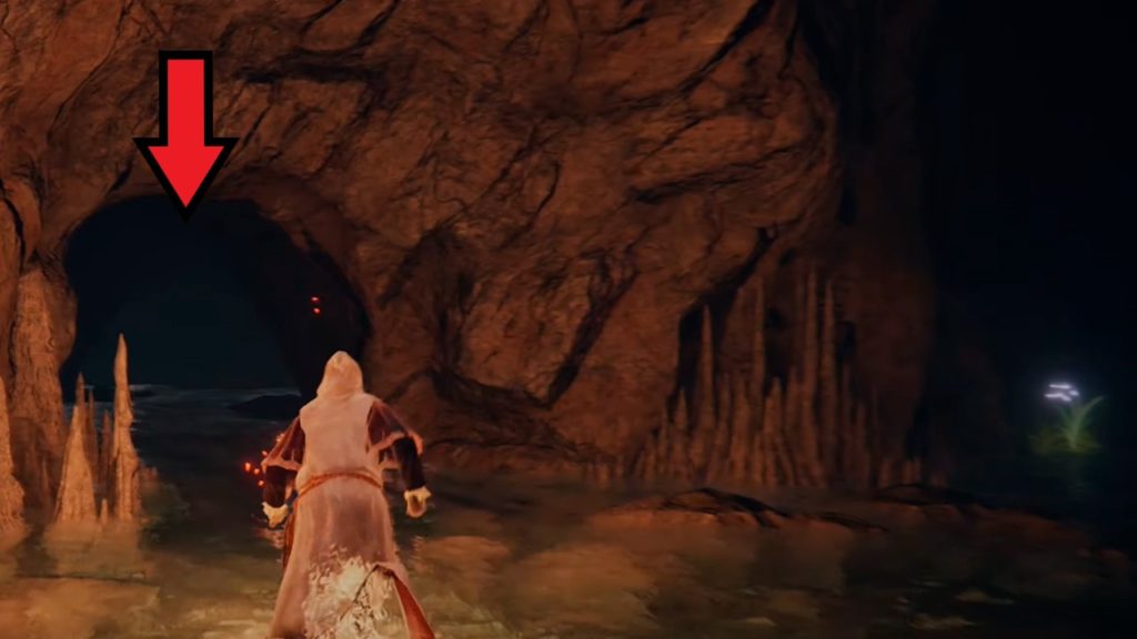 cueva 2