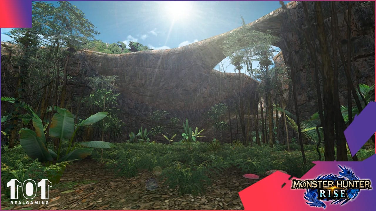 Cómo conseguir huesofirme estirado en Monster Hunter Rise