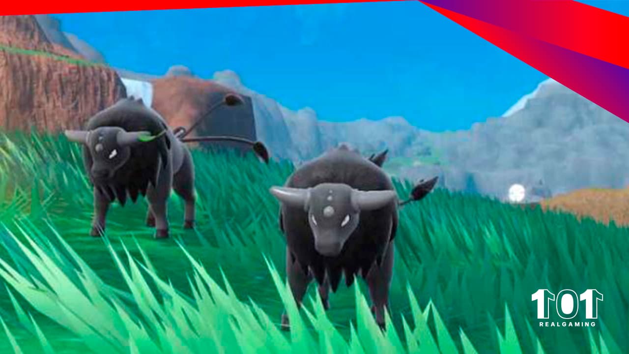 Cómo conseguir Tauros de Paldea en Pokémon Escarlata y Púrpura